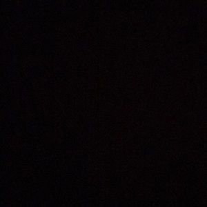 Meet your Posher, Carter